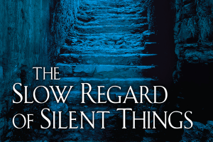 The Slow Regard of Silent Things